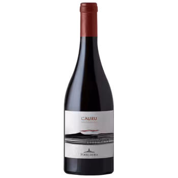 Вино Torre Mora Cauru Rosso красное сухое 0,75 л Вино Torre Mora Cauru Rosso красное сухое 0,75 л