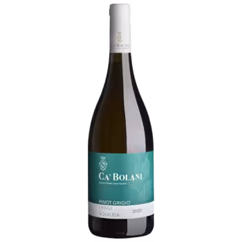 Вино Ca' Bolani Pinot Grigio белое полусухое 0,75 л Вино Ca' Bolani Pinot Grigio белое полусухое 0,75 л