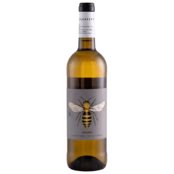 Вино Bodegaverde Macabeo белое сухое 0,75 л Вино Bodegaverde Macabeo белое сухое 0,75 л